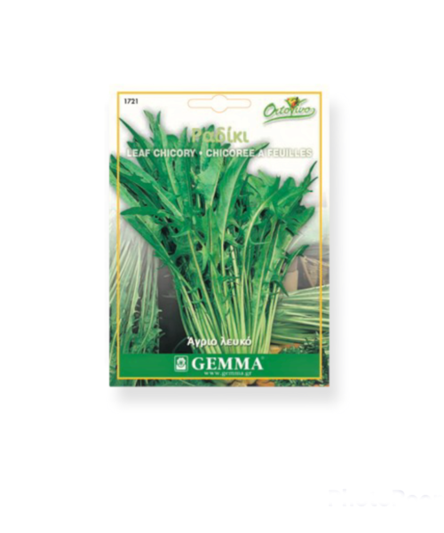 Ραδίκι άγριο λευκό