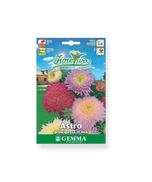 Άστερ διπλό μίγμα