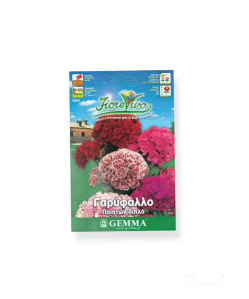 Γαρύφαλλο ποιητών διπλό μίγμα