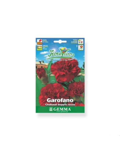 Γαρύφαλλο κοινό διπλό κόκκινο