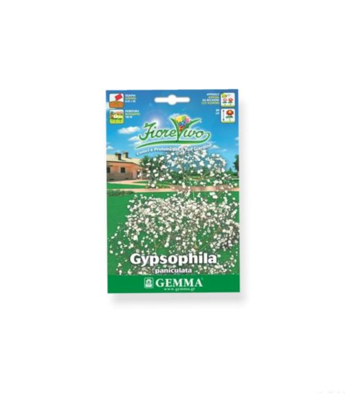 Γυψοφίλη μικρό άνθος