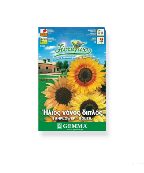 Ήλιος διπλός νάνος