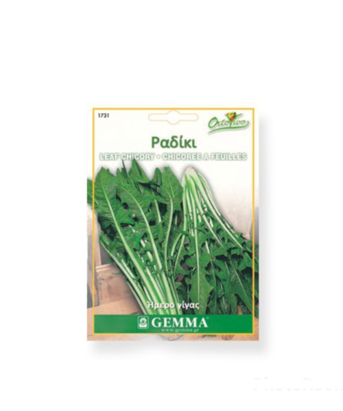 Ραδίκι ήμερο γίγας