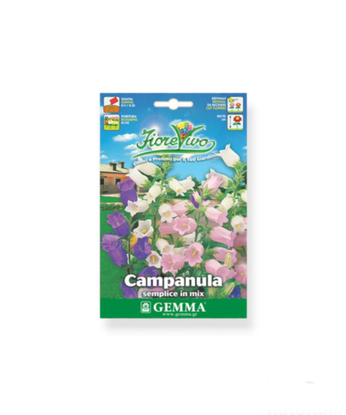 Καμπανούλα μπλέ