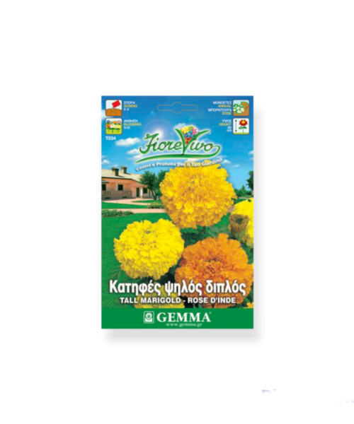 Κατηφές διπλός