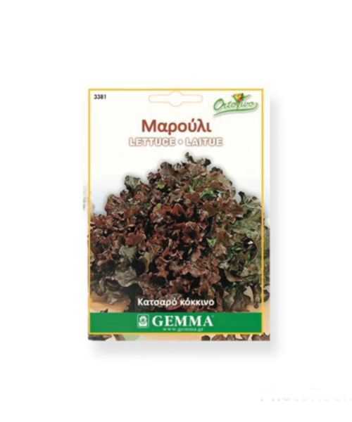 Μαρούλι κατσαρό κόκκινο