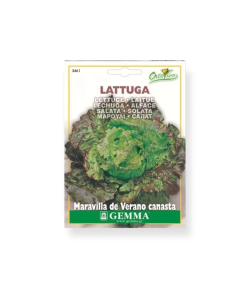 Μαρούλι σαλάτα Long live 30 ημερών