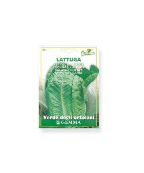 Μαρούλι τ. Romana Ortolani