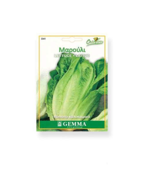 Μαρούλι Romana καλοκαιρινό