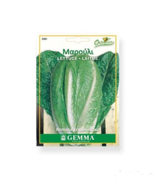 Μαρούλι Romana χειμωνιάτικο