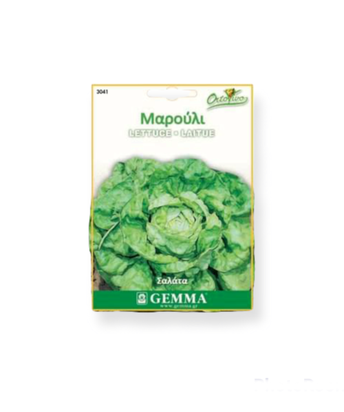 Μαρούλι σαλάτα