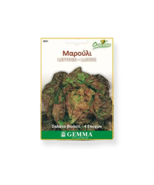 Μαρούλι σαλάτα βιολετί