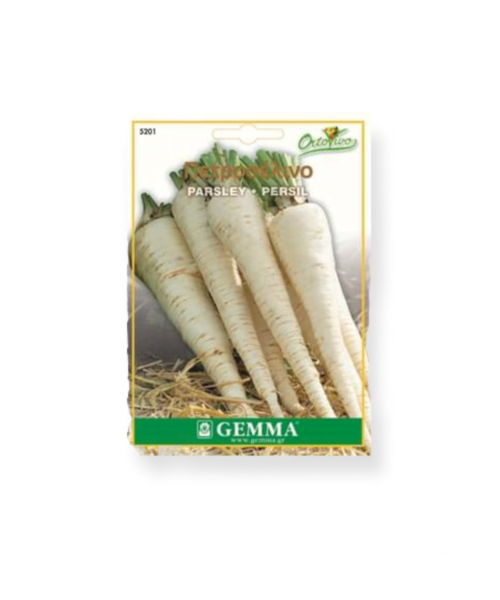 Μαϊντανός ρίζα - Πετροσέλινο