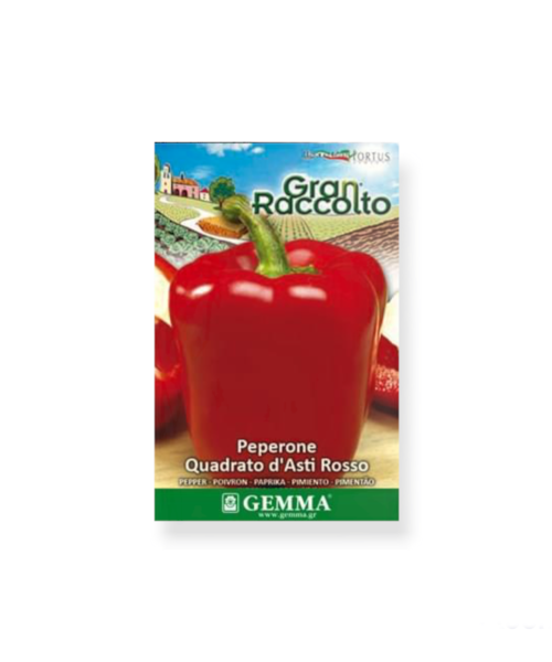 Πιπεριά φλάσκα κόκκινη raccolto