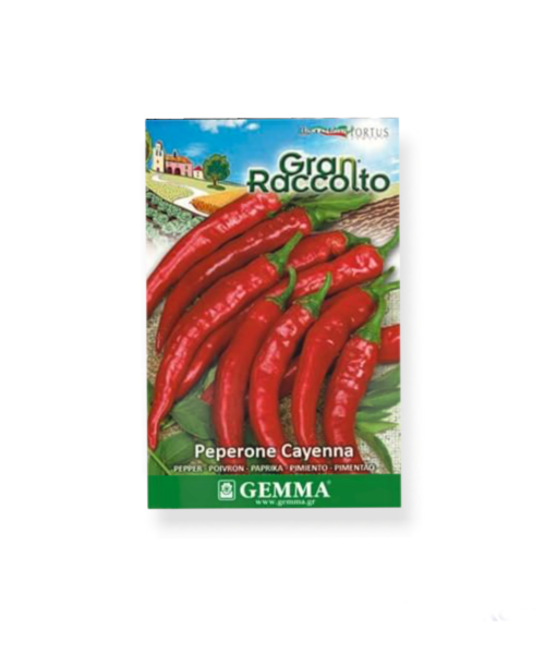 Πιπεριά μακριά καυτερή raccolto