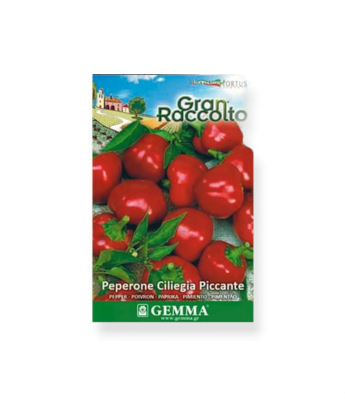 Πιπεριά μικρή καυτερή raccolto