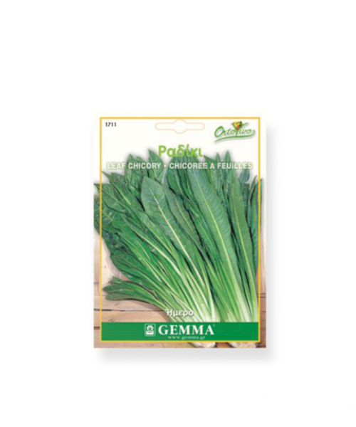 Ραδίκι ήμερο μακρύ φύλλο