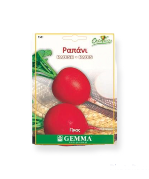 Ραπάνι γίγας στρογγυλό κόκκινο