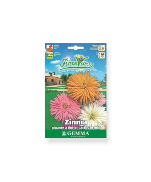 Ζίννια γίγας κάκτος μίγμα