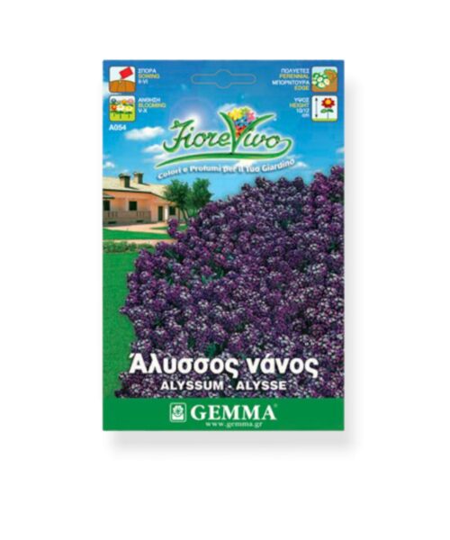 Άλυσσος μωβ νάνος