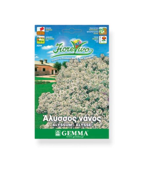 Άλυσσος λευκός νάνος