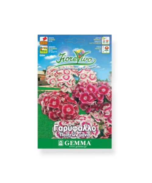 Γαρύφαλλο ποιητών κινέζικο